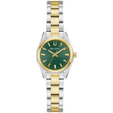 SURVEYOR L T BR GN