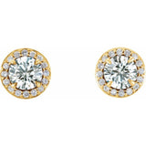 14K Yellow 1/8 CTW Natural Diamond Halo-Style Earrings